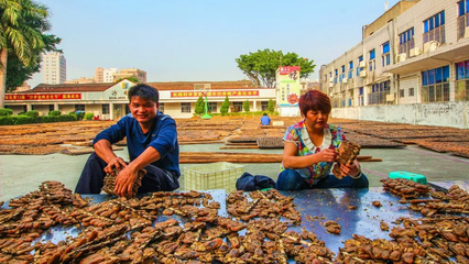 重磅!就在明天!沙井金蠔節盛大開幕!20余項精彩活動即將上線!